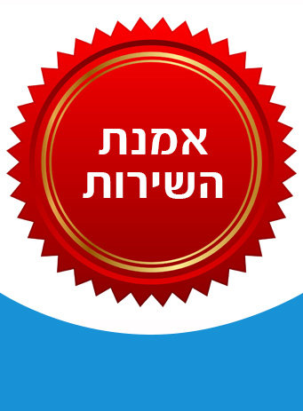 אמנת השירות-לינק
