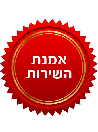 אמנת השירות-לינק