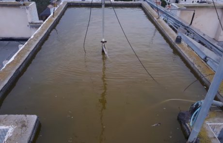 סתימה בגג בניין אשר גרמה לנזקי רטיבות,חשוב לבדוק לפני תחילת הגשמים את גגות הבתים ולנקות מלכלוכים