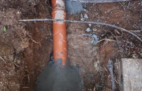 תיקו הקו שנפגע על ידי שורש